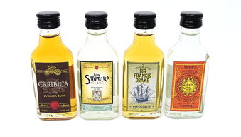 甜酒之趣 庆祝与幽默的静物艺术