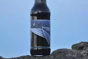 那些被禁的奇奇怪怪的酒精饮料